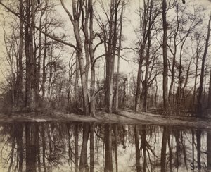 サンクラウド（フィリップデュックドルレアン城の庭園） 作： Eugène Atget
